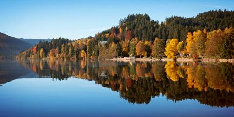 Titelbild für „Unser Preisknüller“ Herbst im Schwarzwald