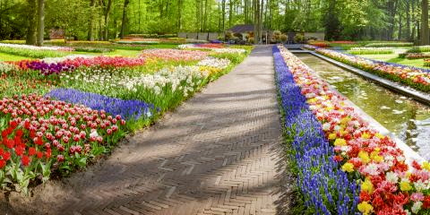 Titelbild für 5 Tage Tulpenblüte Holland